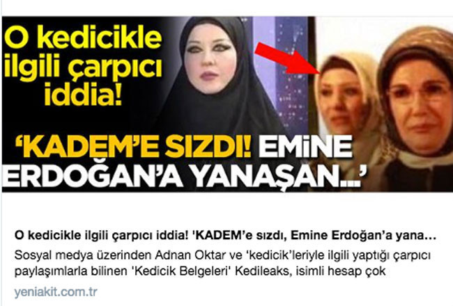 Akit gazetesinden bomba 'Kedicik' haberi! Nereye sızdılar?.. - Resim: 2