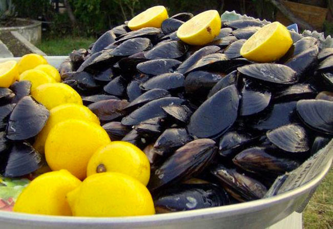 Midyenin içindeki ette ne var? Okuyunca bir daha yiyemeyeceksiniz - Resim: 4