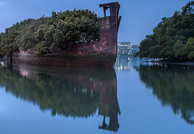 106 yıllık yüzen orman görenleri kendine hayran bırakıyor - Resim: 2