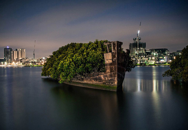 106 yıllık yüzen orman görenleri kendine hayran bırakıyor - Resim: 3