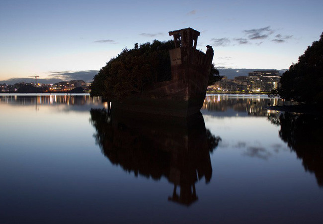 106 yıllık yüzen orman görenleri kendine hayran bırakıyor - Resim: 4
