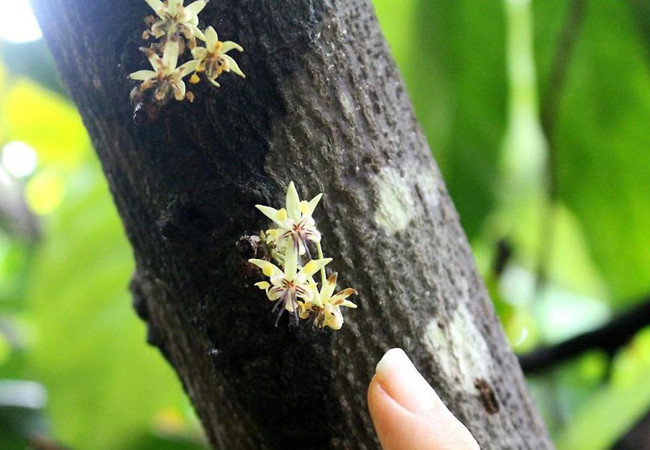 Her gün afiyetle tüketiyoruz! Bakın nasıl üretiliyormuş... - Resim: 1