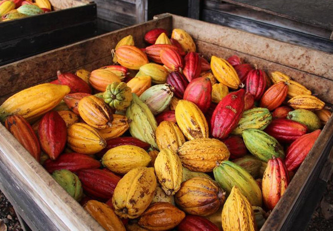 Her gün afiyetle tüketiyoruz! Bakın nasıl üretiliyormuş... - Resim: 3