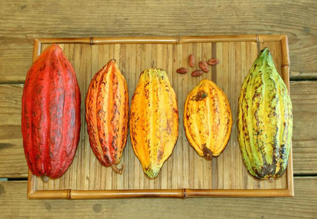 Her gün afiyetle tüketiyoruz! Bakın nasıl üretiliyormuş... - Resim: 4