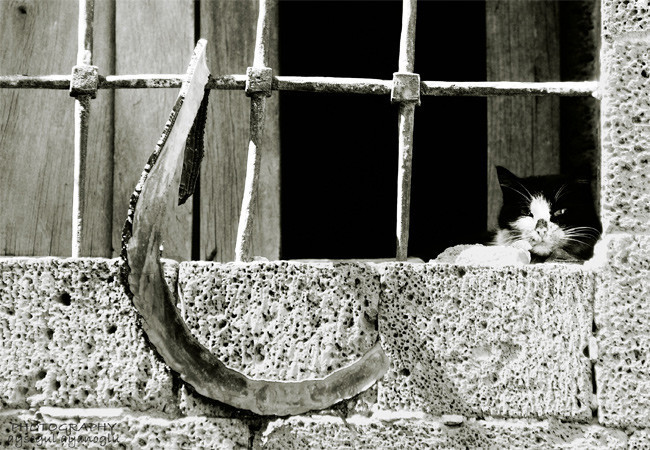 Diyarbakır'ı hiç böyle gördünüz mü? - Resim: 1