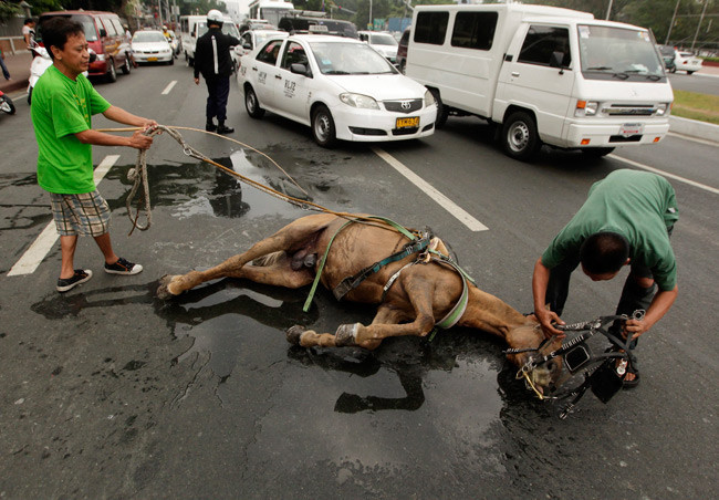 Güne damga vuran anlar! - Resim: 1