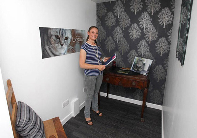 Krallara layık "kedi oteli" - Resim: 1