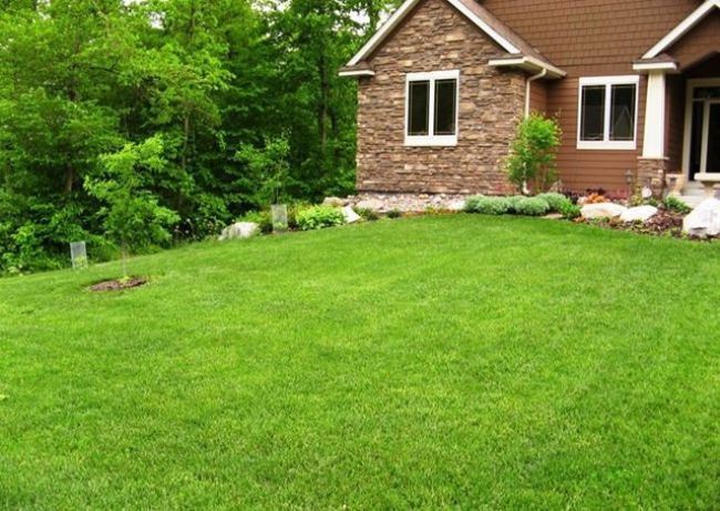 Kolayla neler yapılabilir - Resim: 1