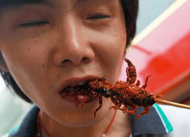 Çin işi akrep şişi - Resim: 4