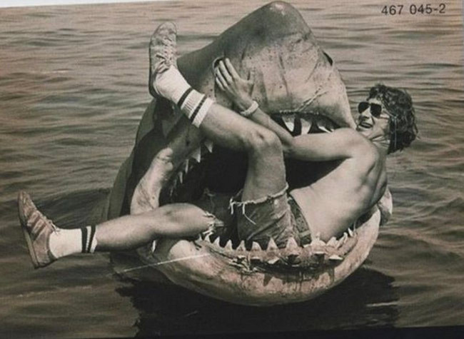 Köpek balığının ağzında ne arıyor? - Resim: 1