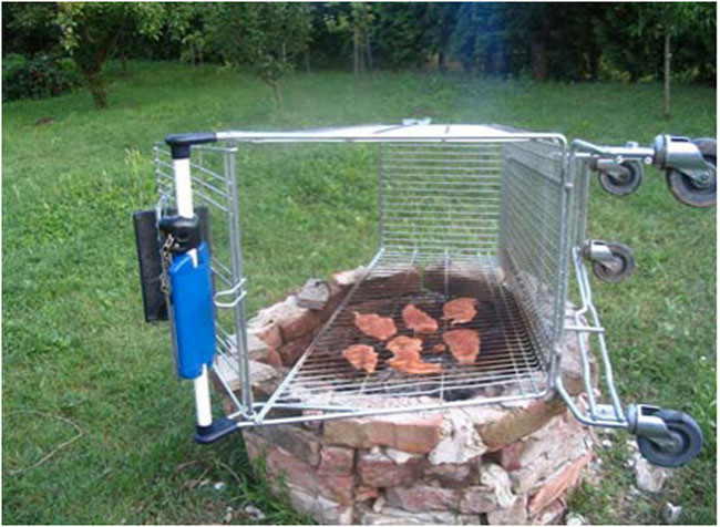 Yazın en komik kareleri - Resim: 1