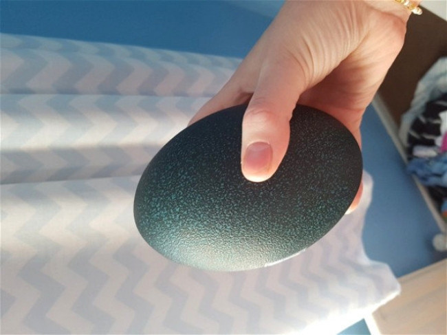 Süs diye aldı içinde deve kuş çıktı - Resim: 1