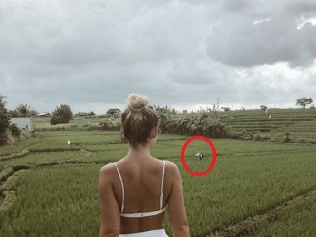 Sosyal medyada paylaştığı 'Tarla pozu' başına bela oldu! Instagram hesabı kapandı - Resim: 3