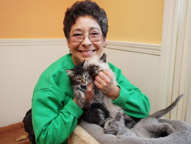 Evini 1100 kedi ile paylaşıyor - Resim: 2