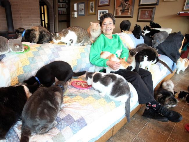 Evini 1100 kedi ile paylaşıyor - Resim: 3