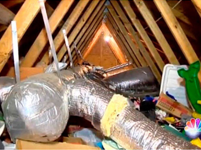 Kemirgen Sevgili - Resim: 2