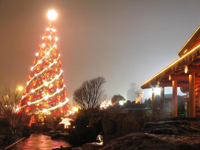 En popüler yeni yıl kararları - Resim: 2