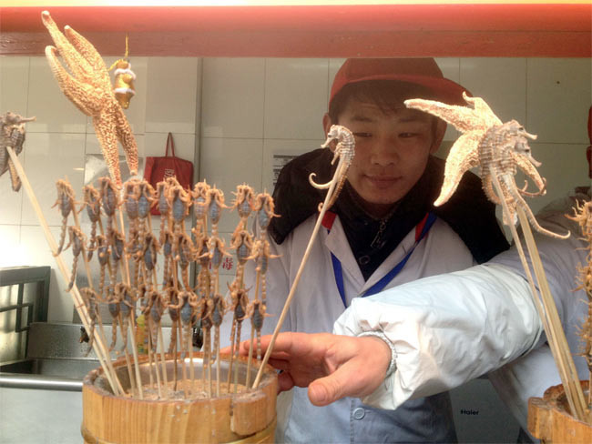 Çin işi akrep şişi - Resim: 1