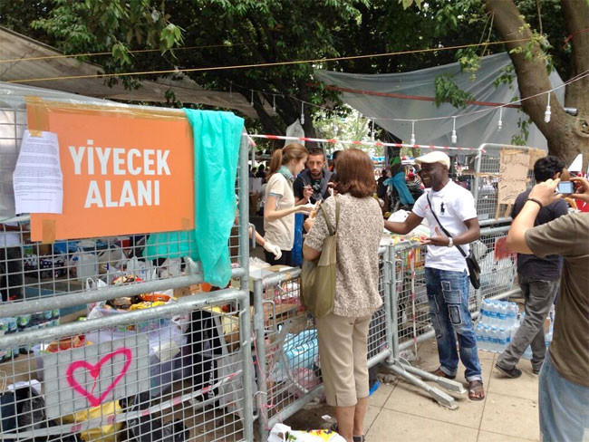 Gezi Parkı'na ektim soğan - Resim: 3