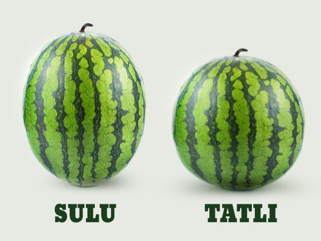 Kelek karpuza son!! Mükemmel karpuzu seçmenin en basit yolu - Resim: 4