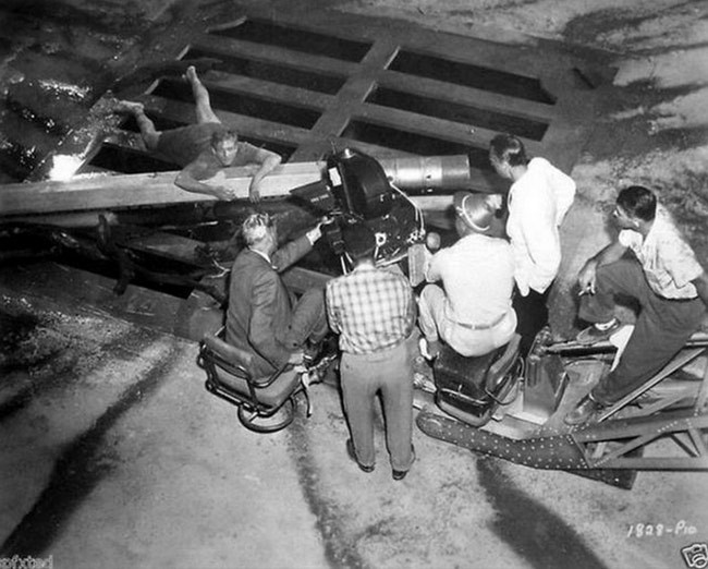 Köpek balığının ağzında ne arıyor? - Resim: 4