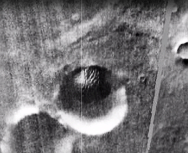 Mars'ta yaşamın kanıtı bu fotoğraf mı dünyayı sarsan kanıt - Resim: 4