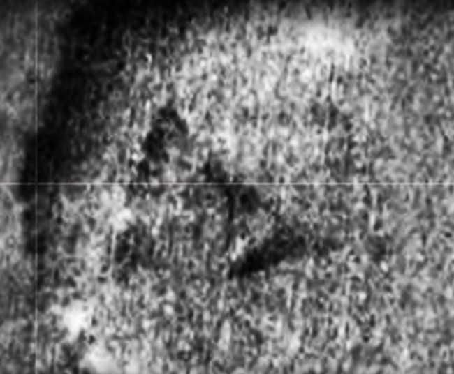 Mars'ta yaşamın kanıtı bu fotoğraf mı dünyayı sarsan kanıt - Resim: 3