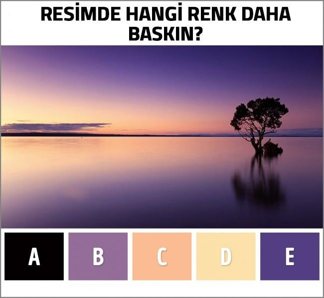 Seçtiğiniz renkler zihin yaşınızı ortaya çıkarıyor ( renk testi )  - Resim: 1