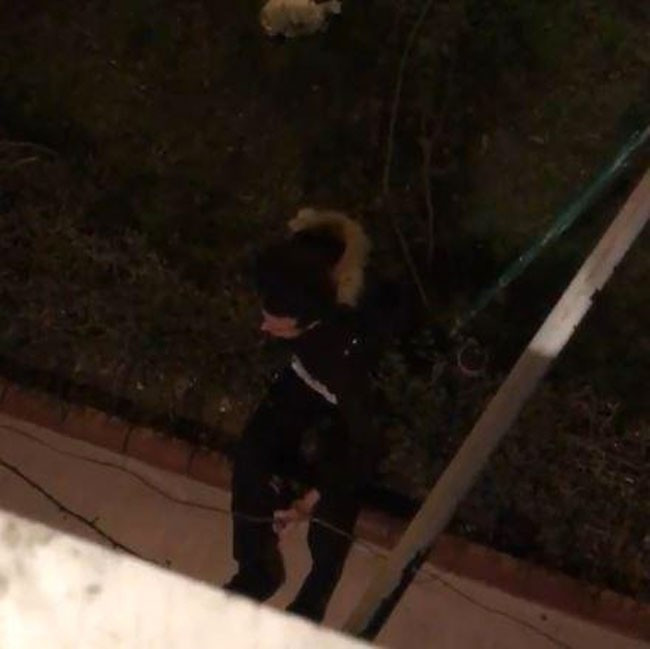 Apartmanda çırıl çıplak dolaştı bu ne böyle! - Resim: 1