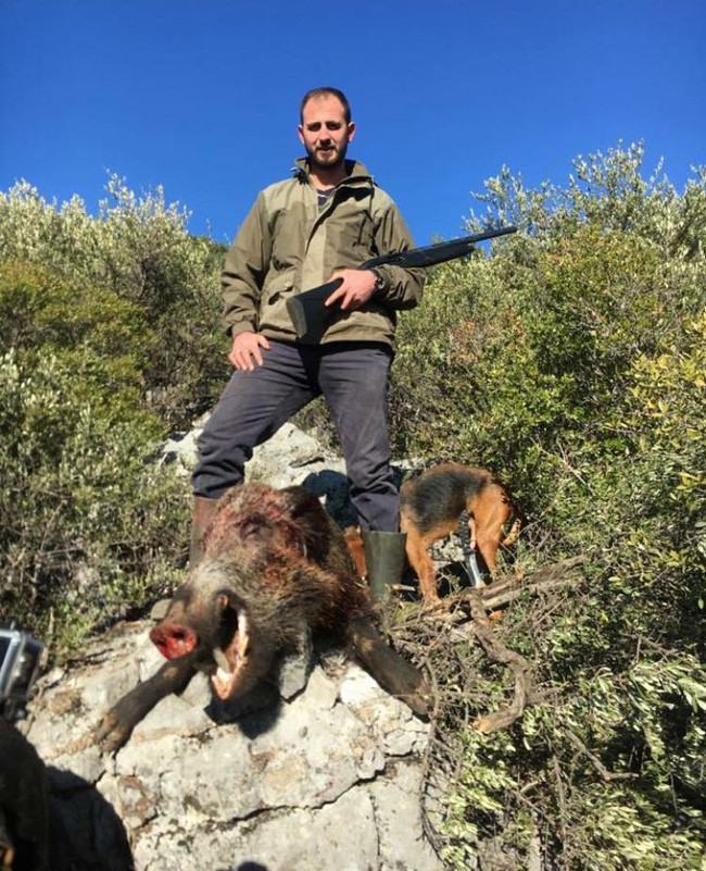 Yaban domuzunu görenler şaşkına döndü - Resim: 1