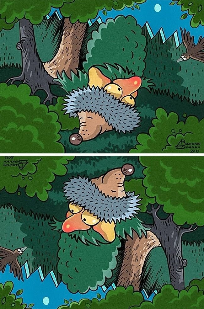 Bu resimde ne görüyorsunuz sadece bakanların yüzde 1'i görüyor - Resim: 2