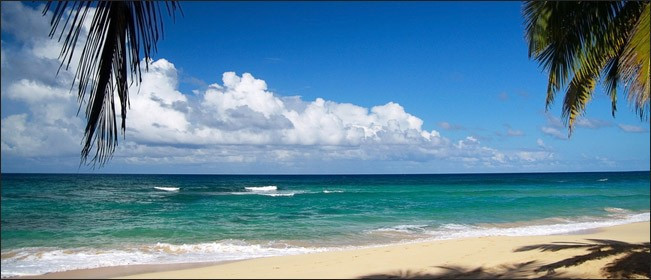 İşte survivor 2016'nın çekileceği adadan müthiş görüntüler... - Resim: 1