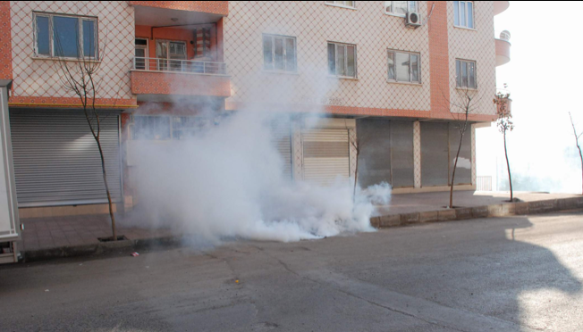 BDP'li vekillere polis müdahalesi - Resim: 4