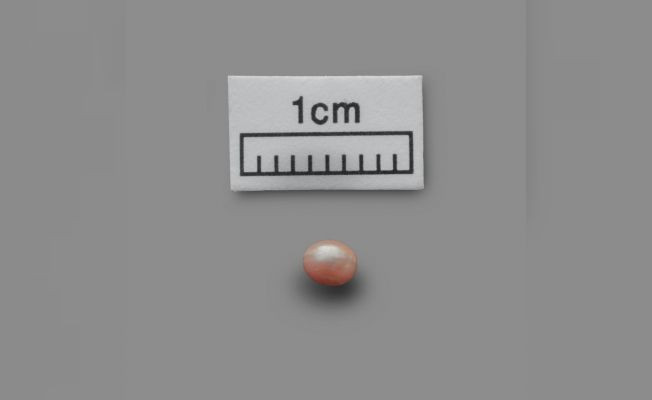 Dünyanın en eski doğal incisi' Abu Dabi'de bulundu! 8 bin yaşında - Resim: 4