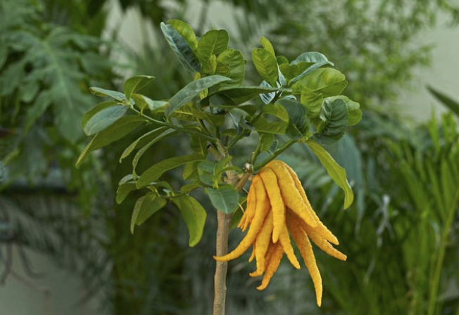 Cinsellik ile ilgili tüm sorunları ortadan kaldırıyor sıradışı görüntüsü şaşırtıyor - Resim: 1