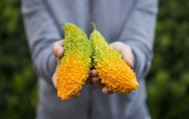 Kudret Narı mucizesi! Gizli derdin dermanı da onda - Resim: 1