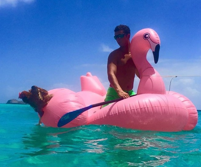 Bu tavuk 2 yıldır dünya turu yapıyor! Çok şaşıracaksınız - Resim: 3