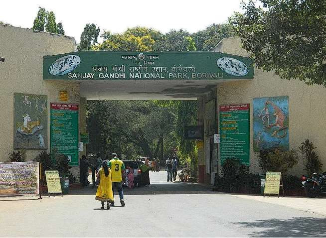 Bebeğini yemek üzereydi! Korkusuz anne kaplana çıplak elle müdahale etti sonrası dehşet - Resim: 4