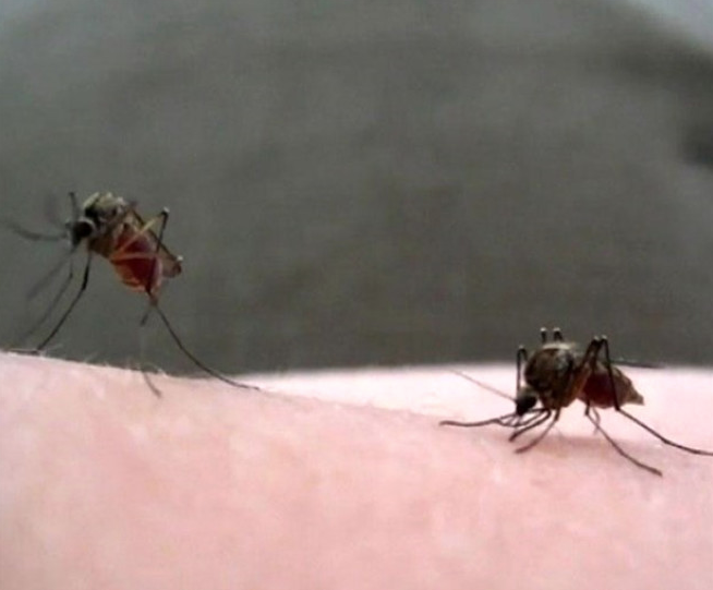 Yüzü birden bu hale gelmeye başladı içinden çıkanlar ise inanılmaz - Resim: 4