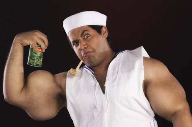 İşte gerçek Temel Reis - Resim: 1