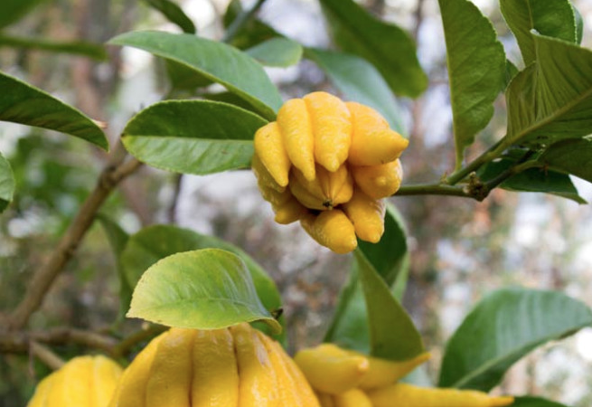 Cinsellik ile ilgili tüm sorunları ortadan kaldırıyor sıradışı görüntüsü şaşırtıyor - Resim: 2