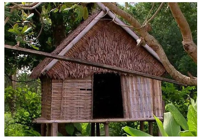 Yok artık! Babası 13 yaşında cinsellik yaşasın diye... - Resim: 4