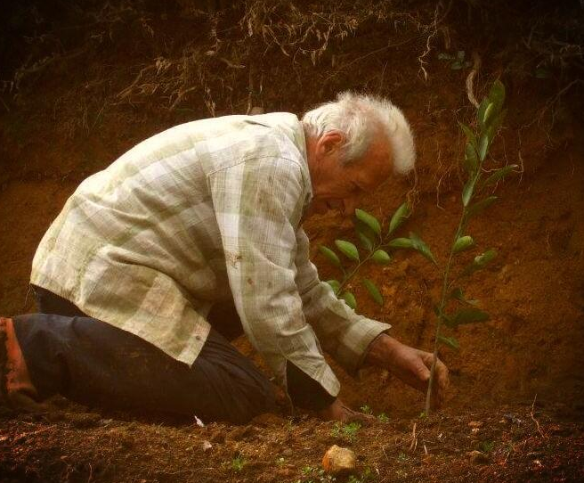 Taksim Gezi Parkı karıştı - Resim: 2