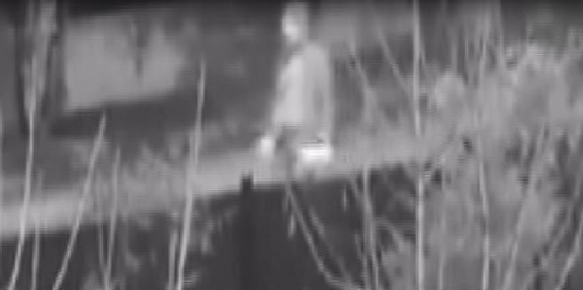 Kedi ve köpekleri zehirleyen doktora 5 yıl hapis cezası verildi - Resim: 4