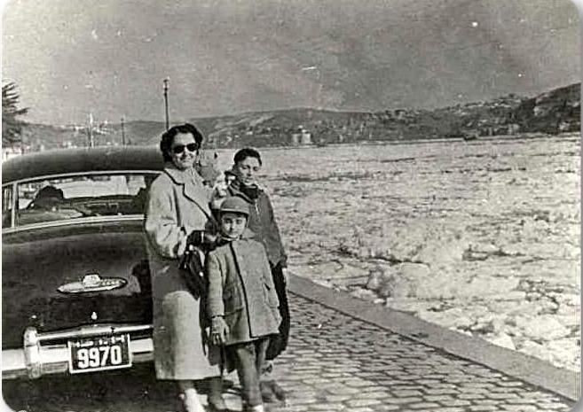 İstanbul'da 55 gün aralıksız kar yağdı Boğaz bile dondu - Resim: 4