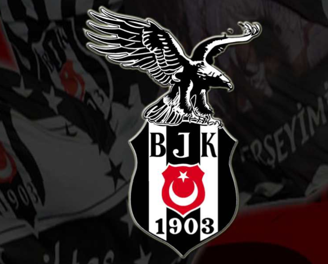 Türkiye kupasının enleri - Resim: 4