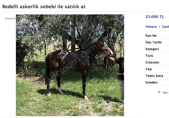 Bedelli için herşeyi satıyorlar! At, balık, dumbell, araba, ev, arsa, çakmak... - Resim: 2
