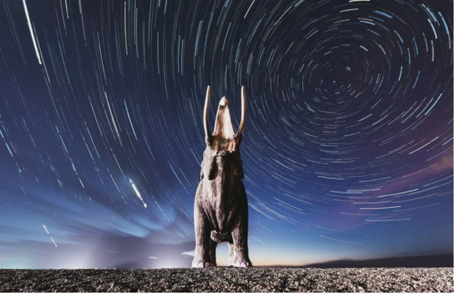 Nesli tükenen yünlü mamutlar yeniden doğacak! Küresel ısınmaya karşı adım atıldı - Resim: 1