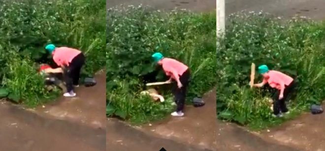 Çalıların arasında ilişkiye giren çifte sopayla daldı! O anlar kameraya yansıdı - Resim: 3