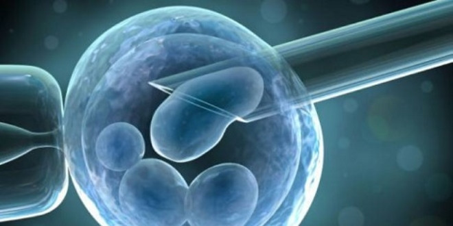 İnsan vücudu 7 yılda bir yenileniyor mu? - Resim: 2